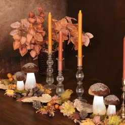 GLASS Cambridge Sophia 9